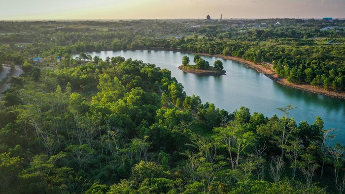 Hutan Tropis Lembap di Kalimantan
